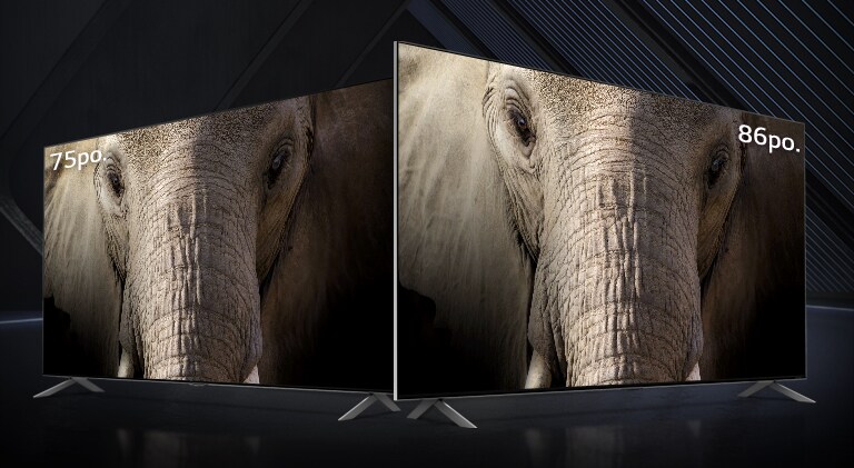 Des téléviseurs Mini LED QNED de LG ultra larges de 75 et 86 pouces l’un à côté de l’autre devant un fond sombre. Les écrans affichent un gros plan d’un visage d’éléphant.