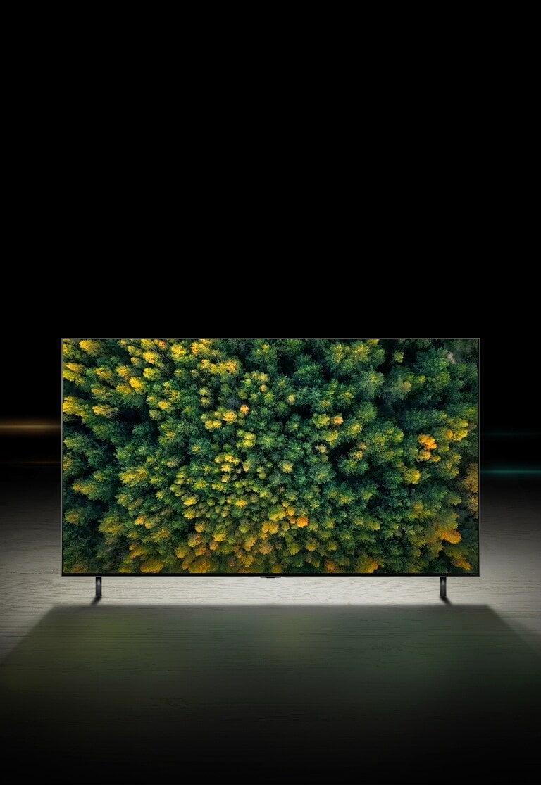 Vue plongeante d’une forêt au début de l’automne. L’image recule pour montrer la même scène sur le téléviseur QNED.