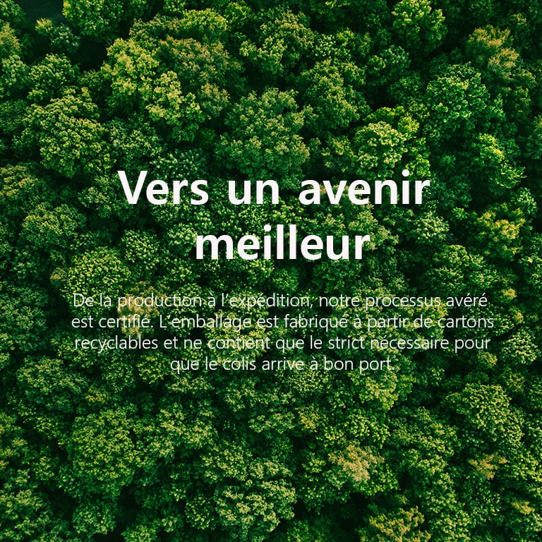 Vue aérienne d’une forêt verdoyante.