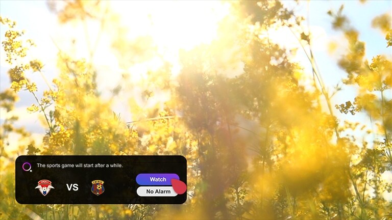 Un écran montre une prairie avec des fleurs sauvages jaunes en pleine éclosion. Une fenêtre contextuelle de notification d'alerte sportive s’ouvre dans le coin inférieur gauche pour afficher le score actuel. Un curseur clique sur le bouton Regarder et la scène bascule pour afficher une partie de soccer. 