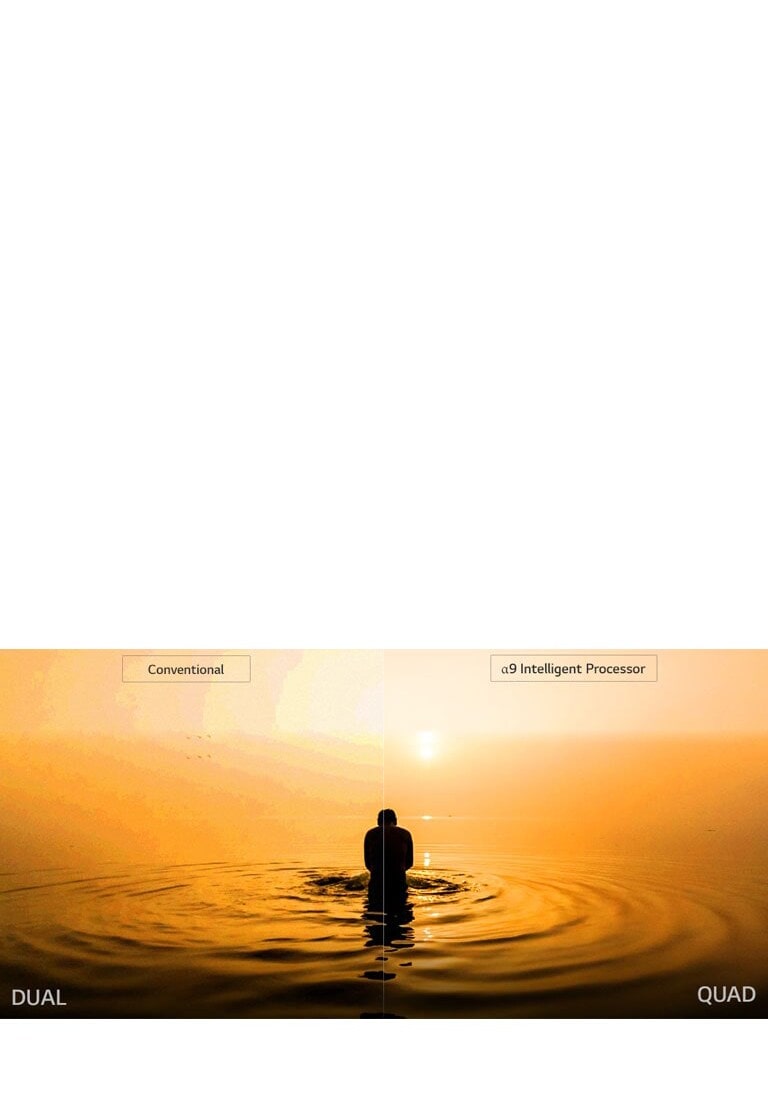 a black basic image