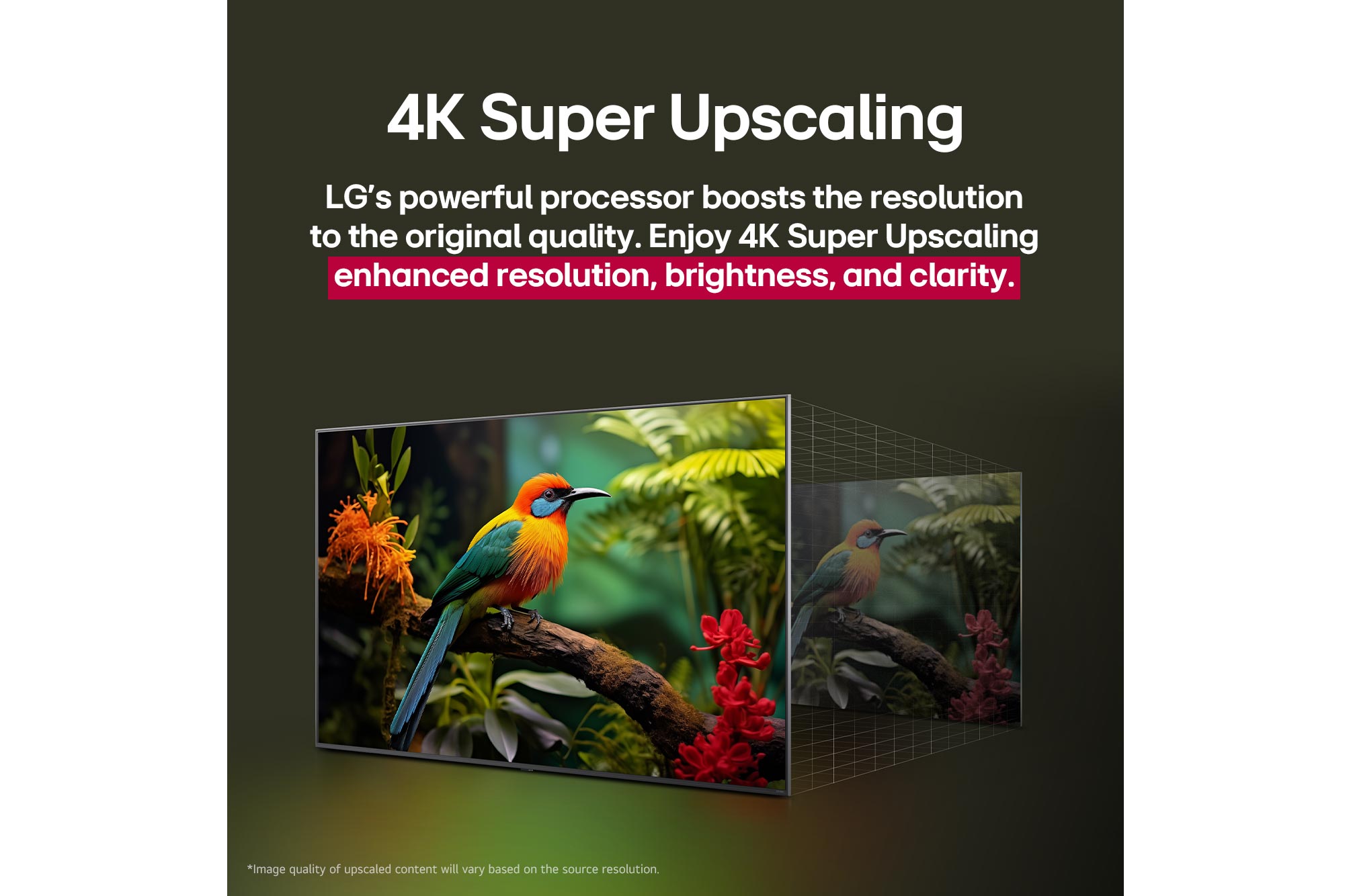 Vergleich der Bildqualität mit und ohne LG 4K Super Upscaling. Zwei Panel zeigen dasselbe Bild eines bunten Vogels, der auf einem Ast in einem Wald sitzt, das Panel auf der rechten Seite ist verblasst. In der Überschrift geht es darum, wie 4K Super Upscaling die Auflösung, Helligkeit und Klarheit verbessert. 