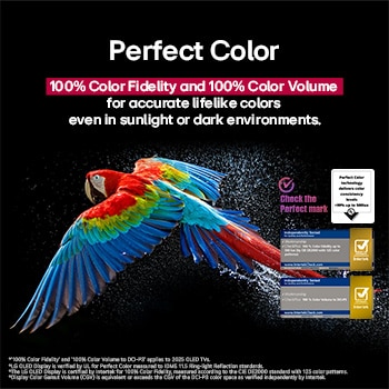 Ein schillerndes und farbenfrohes Feuerwerk ist auf einem Fernsehbildschirm zu sehen. Das Logo einer Zertifizierung ist sichtbar, die Perfect Color Technology liefert Farbkonsistenzwerte von mehr als 99 % bei bis zu 500 Lux. Intertek-Zertifizierungen, die unabhängige Tests belegen, sind ebenfalls sichtbar.