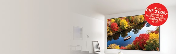Grossbild TV Cashback