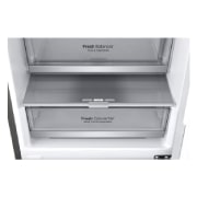 LG ​​Kühl-Gefrierkombination | ​384​ Liter Nutzinhalt | Energieeffizienzklasse​ C​ | ​Steel​ | ​203 cm​ hoch | ​ Smart Inverter Kompressor​ | ​GBB72PZECN1, GBB72PZECN1