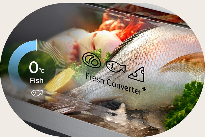 LG bottom freezer (GBBW726CPY) graphic with circular chart showing 0°C on left and fresh fish stored in Fresh Converter box on right