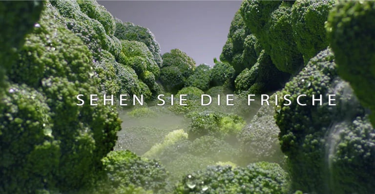 Halten Sie Ihre Nahrungsmittel länger Frisch