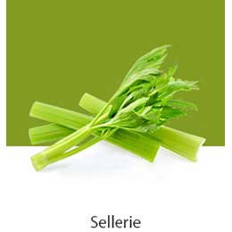 D09-03_REF-NatureFRESH-Vplus-03-UsefulTips-04-5-Cucumbers