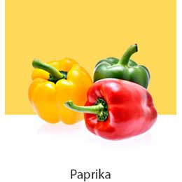 D10-02_REF-NatureFRESH-Vplus-03-UsefulTips-04-9-Mushrooms