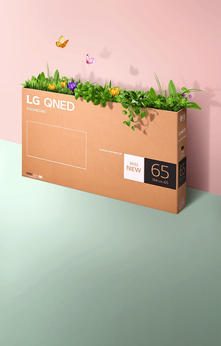 Ein QNED-Verpackungskarton steht vor einem rosafarbenen und grünen Hintergrund und Pflanzen wachsen aus dem Karton und Schmetterlinge schweben darüber.