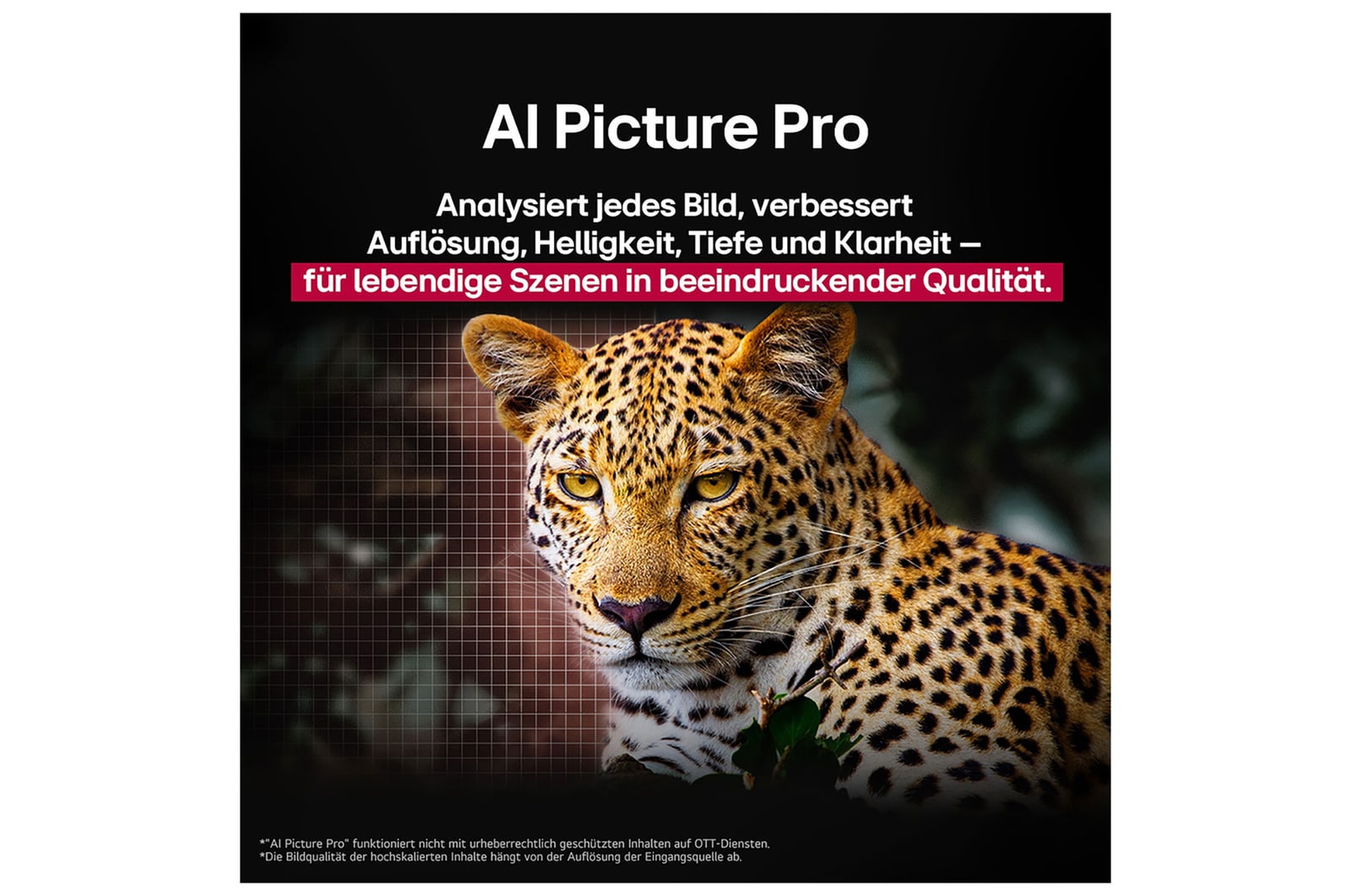 Leopard im Wald in leuchtenden Farben und Details. Neben dem Leopard ist ein Gitternetz zu sehen. Hinter ihm leuchtet ein Licht. Das Bild zeigt, wie LG AI Picture Pro die Auflösung, Helligkeit, Tiefe und Klarheit der Szene eindrucksvoll verbessert hat.