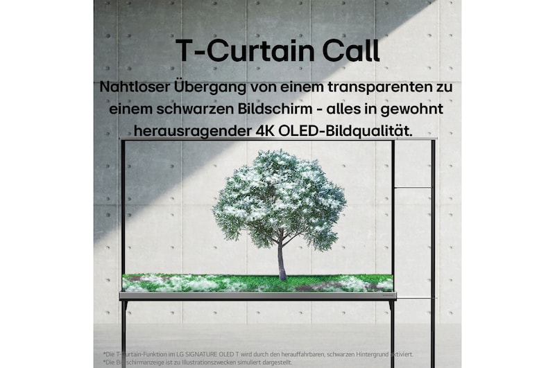 Rückansicht des LG SIGNATURE OLED T mit hochgezogenem Schirm, um den schwarzen Hintergrund und die Rückseite einer Zero Connect Box zu zeigen.