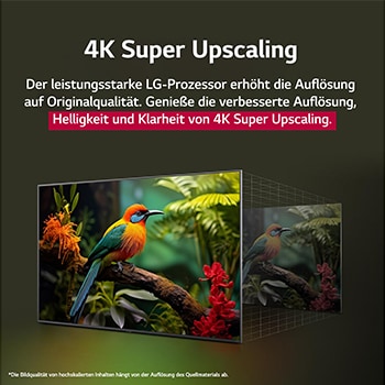 Papagei auf einem Baumzweig in lebendiger Farbe. Der Titel beschreibt, wie LG Al Picture Pro die Auflösung, Helligkeit, Tiefe und Klarheit der Szene auf beeindruckende Weise verbessert hat.