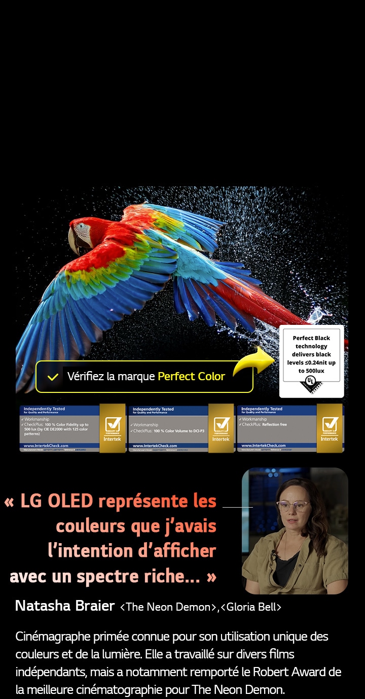 Perroquet coloré en ultra haute définition sur un fond noir. On voit des gouttes d’eau suspendues dans l’air tout autour. L’image présente la technologie Perfect Color, car chaque couleur différente du corps du perroquet est dynamique et éclatante. Le fond sombre avec les éclaboussures d’eau détaillées met également en valeur la protection de l’écran contre les reflets. Différentes certifications de logo UL et Intertek sont visibles. Celles-ci font référence aux technologies 100 % de fidélité des couleurs, Volume de couleurs à 100 % et à sa certification sans reflet. Le texte est également visible, vérifiez le logo de certification Perfect Color.