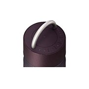 LG XBOOM 360 RP4 Bordeaux, DRP4
