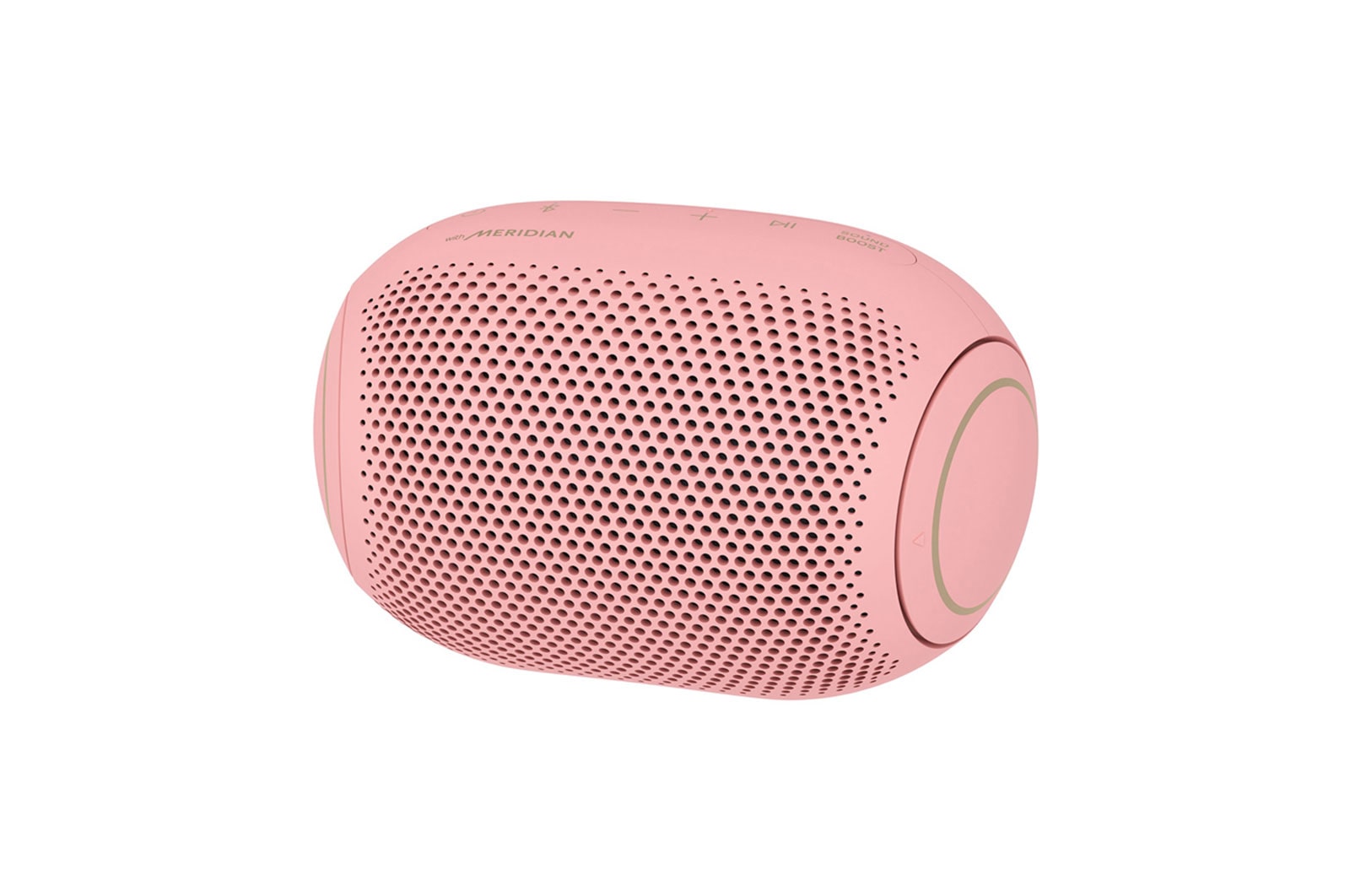 LG XBOOMGo PL2P, PL2P