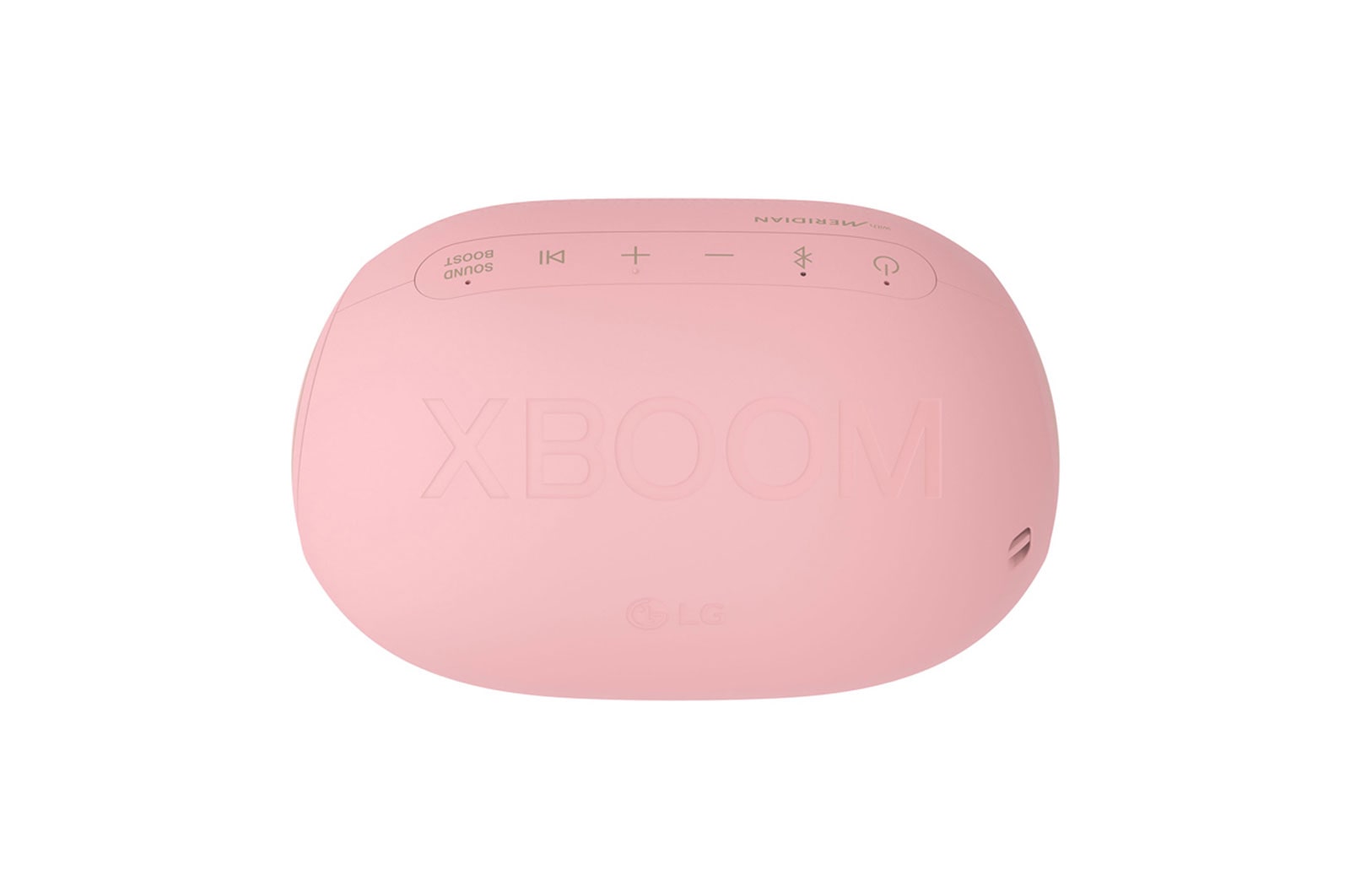 LG XBOOMGo PL2P, PL2P