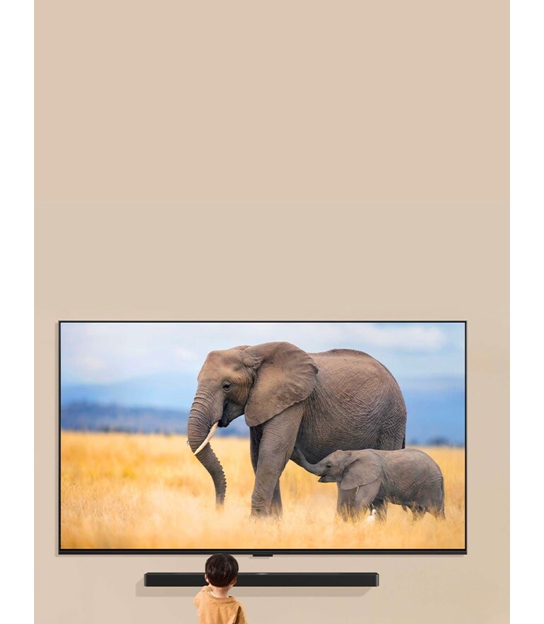 Une LG TV fixée au mur d’un salon avec une LG Soundbar fixée juste en dessous. La TV affiche deux éléphants et un petit enfant est debout en face de la TV.