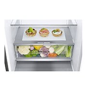 LG Combinaison réfrigérateur-congélateur avec Door Cooling+™ | Capacité de 384 litres, GBB72PZEXN