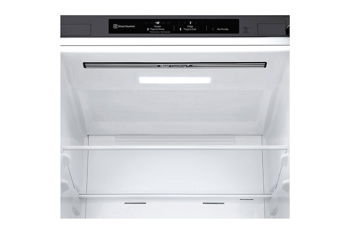 LG Réfrigérateur-congélateur | 384 litres de capacité utile | Classe d'efficacité énergétique C | Acier inoxydable | 203cm de hauteur | Smart Inverter Compressor®️ | GBP62PZNCC1, GBP62PZNCC1