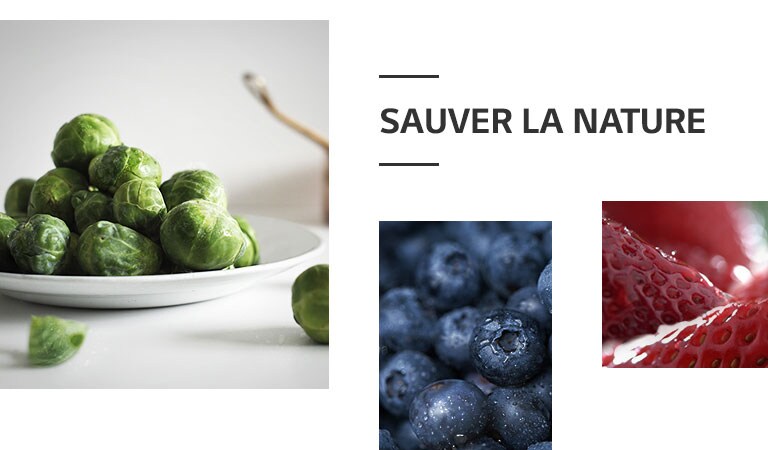 REF-NatureFRESH-Vplus-01-Story-03-Saving-Nature