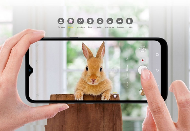 Gros plan de quelqu’un prenant une photo d’un lapin avec un smartphone