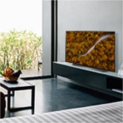 LG 77“ LG OLED TV, OLED77CX6LA