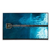 Vue avant de 65&#34; LG OLED TV - E9 OLED65E9PLA