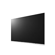 LG 65" LG OLED TV - E9, OLED65E9PLA