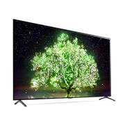 LG 77“ LG OLED TV, OLED77A19LA