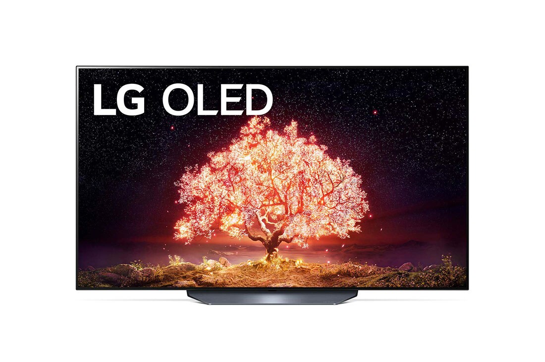 LG 77“ LG OLED TV, OLED77B19LA