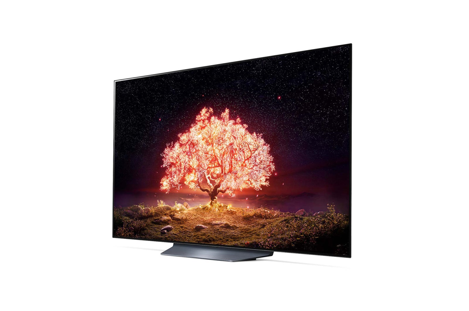 LG 77“ LG OLED TV, OLED77B19LA