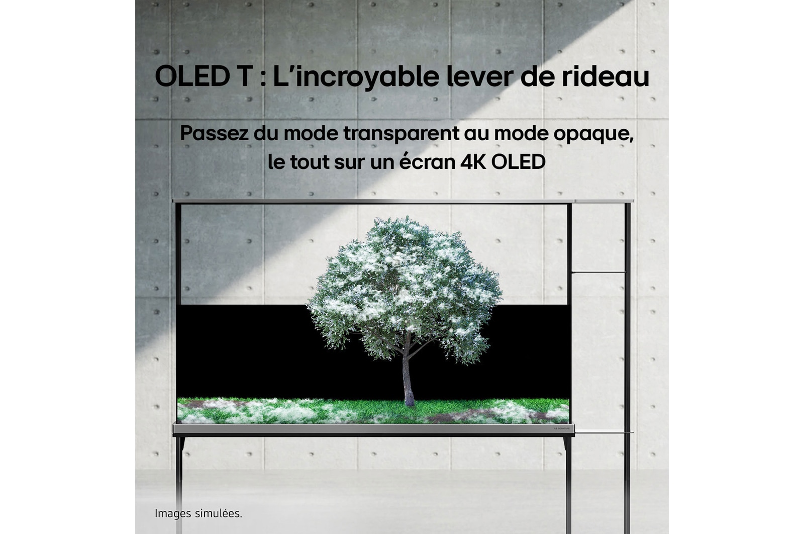 Vue arrière d’une LG SIGNATURE OLED T avec l’ombre qui se dessiné pour montrer le fond noir et l’arrière d’un boîtier Zero Connect.