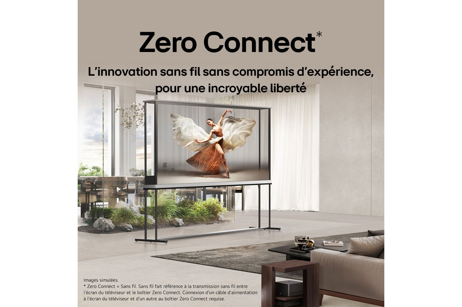 Vue arrière du boîtier Zero Connect.