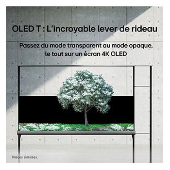 Vue arrière d’une LG SIGNATURE OLED T avec l’ombre qui se dessiné pour montrer le fond noir et l’arrière d’un boîtier Zero Connect.