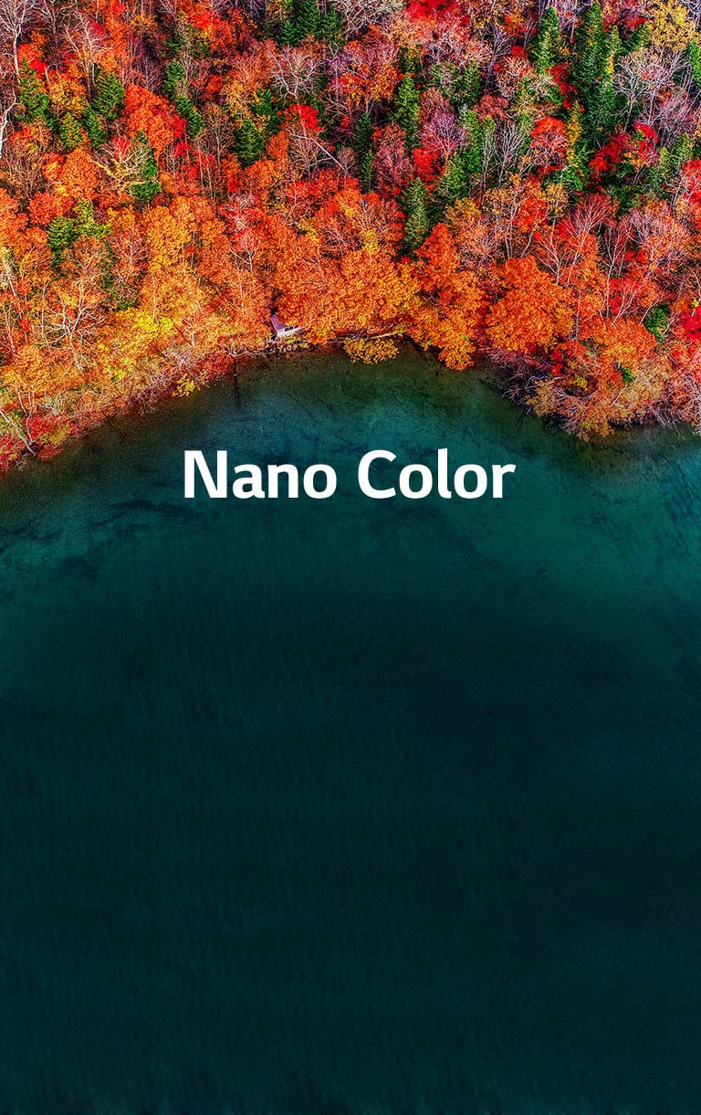 Une pureté de couleur raffinée