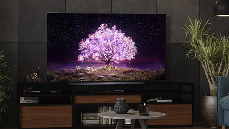 Un téléviseur affichant un sapin brillant au milieu est placé dans un salon sombre.