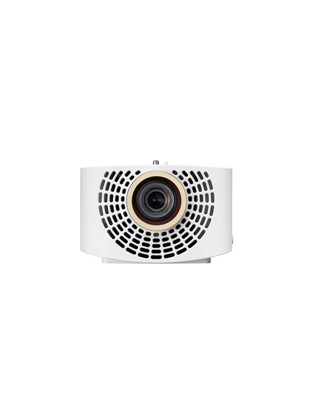 MZ-6.jpg