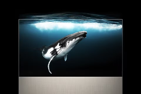 ART90 in Full View montre une baleine sous l'eau, tandis que la lumière du soleil brille d'en haut. L'image se prolonge au-delà du téléviseur et démontre ainsi son caractère immersif.