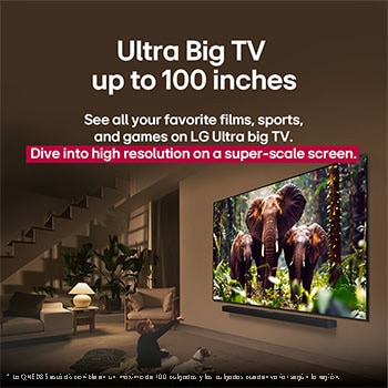 Una joven y un perro sentados frente a un LG QNED TV colocado en una pared en el que se ven tres elefantes caminando hacia fuera por encima de la LG Soundbar. El título habla de cómo las escenas son más emocionantes en una pantalla gigante.