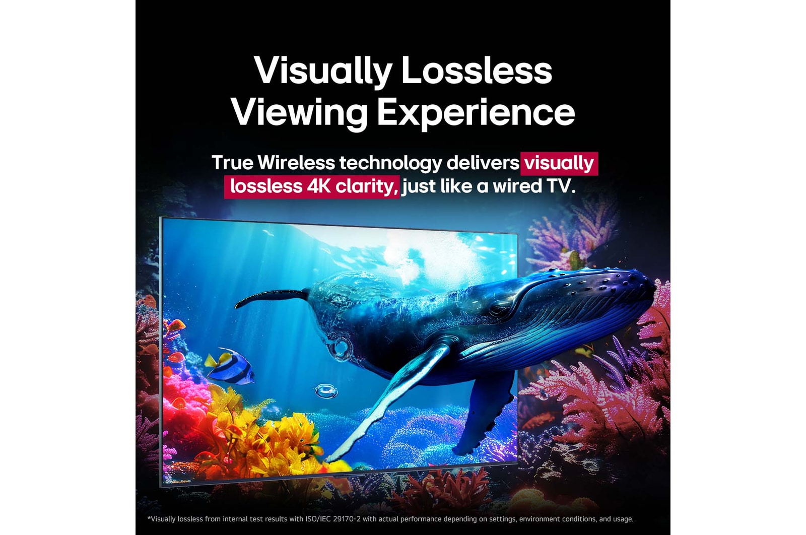 A whale swims out towards the viewer through a QNED9M placed amidst the corals in the ocean. Text talks about how detail is impressive showing visually lossless 4K quality. 