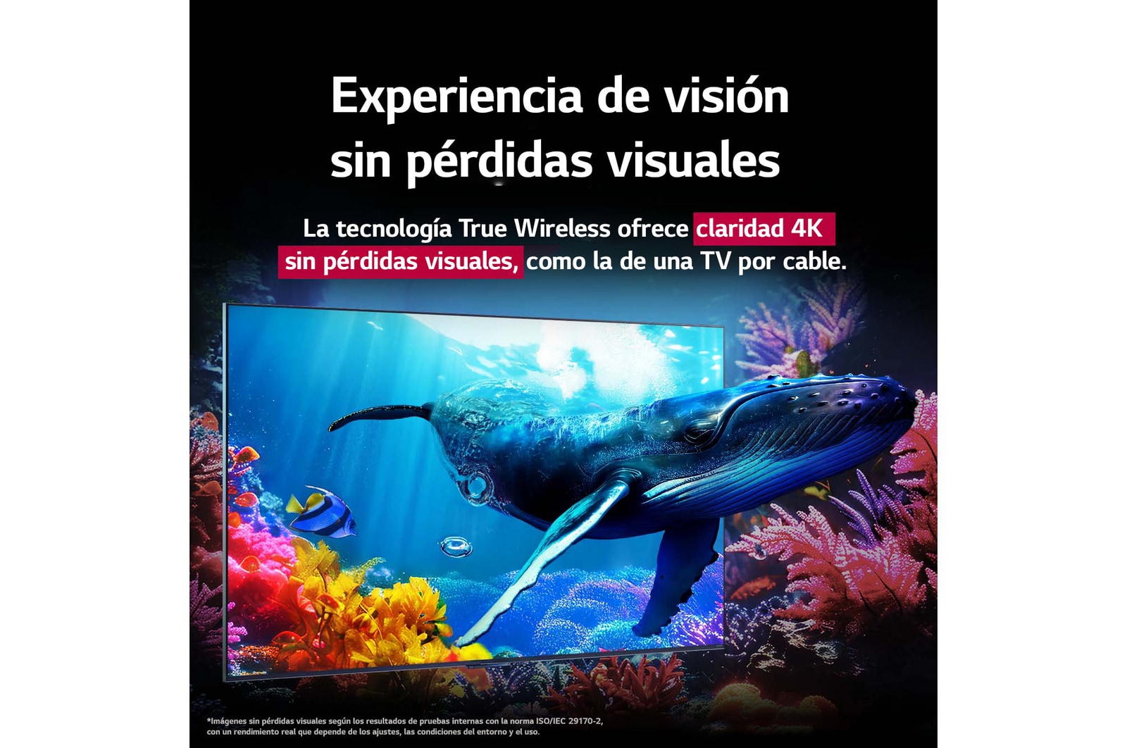 Una ballena nada hacia el espectador a través de una QNED9M ubicada entre corales en el océano. El texto habla de cómo el detalle es impresionante y demuestra una calidad 4K sin pérdidas visuales. 