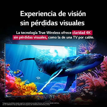 Una ballena nada hacia el espectador a través de una QNED9M ubicada entre corales en el océano. El texto habla de cómo el detalle es impresionante y demuestra una calidad 4K sin pérdidas visuales. 