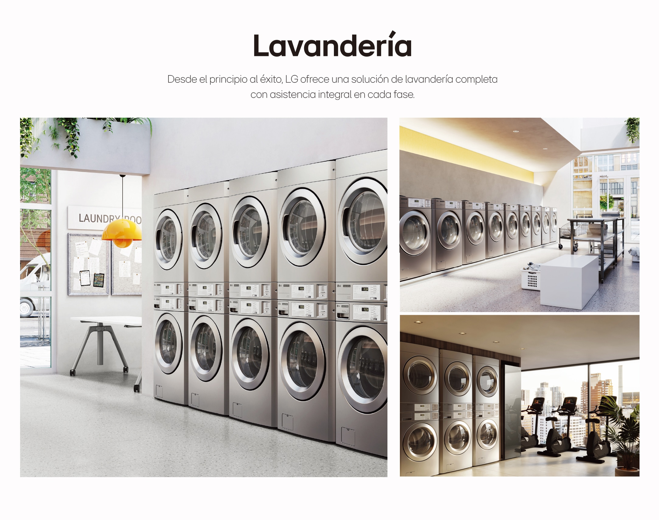 lavandería