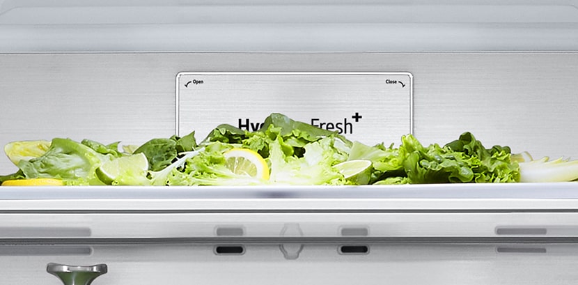 Primer plano de la etiqueta metálica de productos frescos en el interior del refrigerador.