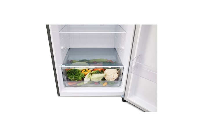 09_VT4_Di_GN-B452PFWQ_LT18NBBSIV_PY_Drawer_Vegetable