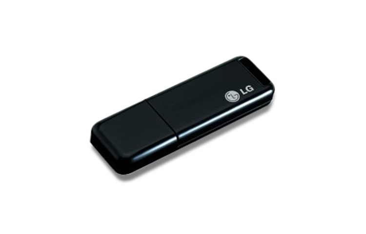 Vista frontal de Pendrive USB 2GB UM41GNPB