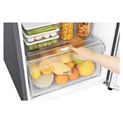 LG Refrigerador Top Freezer con motor Smart Inverter Compressor y capacidad total de 254 Litros, GT29WPPDC
