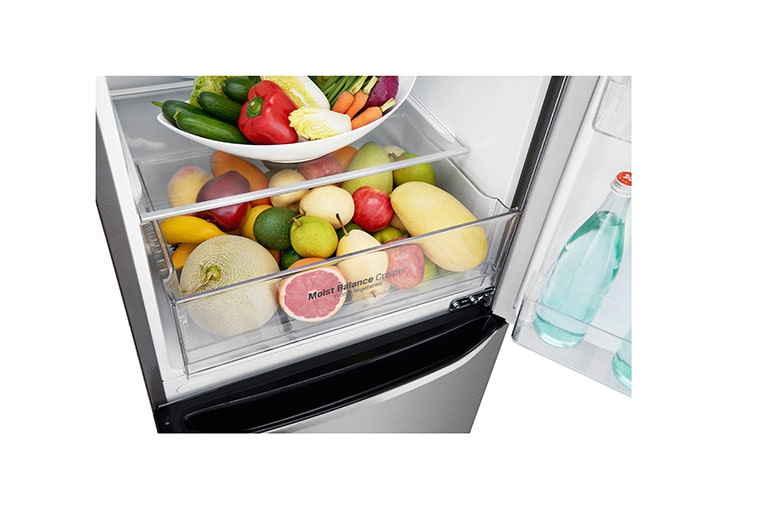 LG Refrigerador Bottom Freezer con Motor Inverter Linear Compressor y Capacidad Total de 313 Lts., LB33SPP