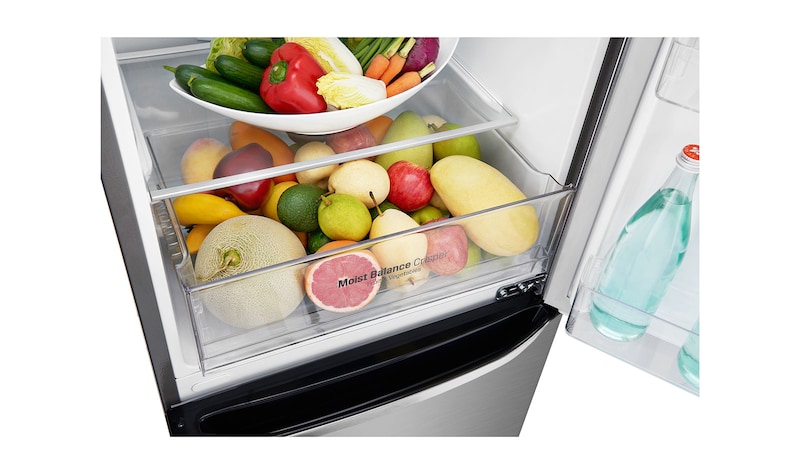 LG Refrigerador Bottom Freezer con Motor Inverter Linear Compressor y Capacidad Total de 313 Lts., LB33SPP